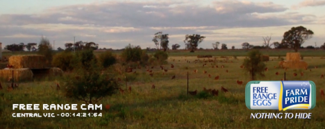 农场骄傲墨尔本GPYR