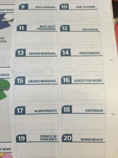 发现球:Fairfax的墨尔本杯指南