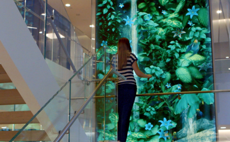 澳新银行数字花园