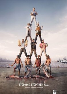 世界自然基金会的鲨鱼