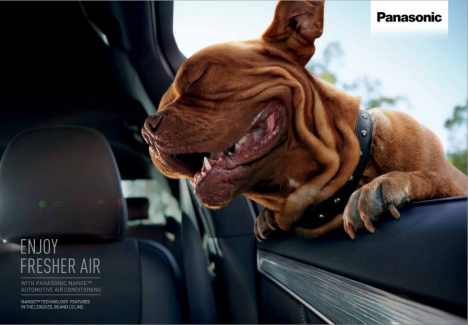 盛世长城&盛世长城松下戛纳狮子作品