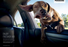 盛世长城获奖广告之一