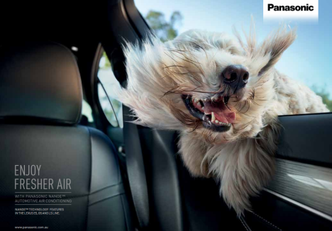 盛世长城&盛世长城松下戛纳狮子作品