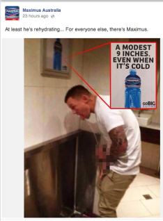 马克西姆斯和托德·卡尼