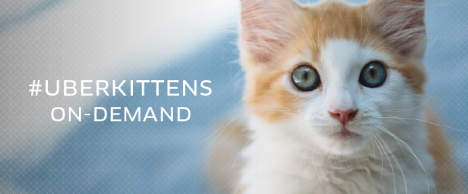 uberkitty