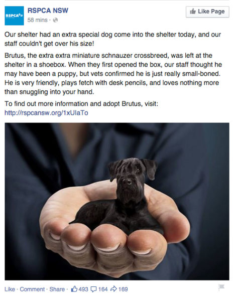 2015-04-01上午10.21.41屏幕截图