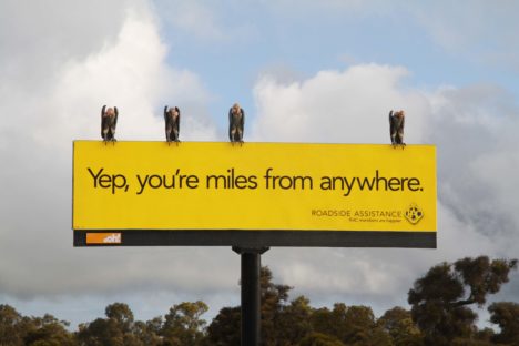 哦！_RAC_VULTURES.