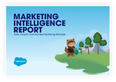 Salesforce市场情报报告